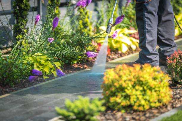 Best Pre-Holiday Cleaning  in Northfield, NJ