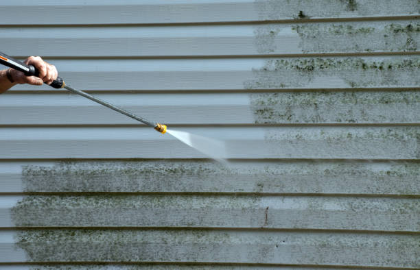 Best Roof Washing  in Northfield, NJ